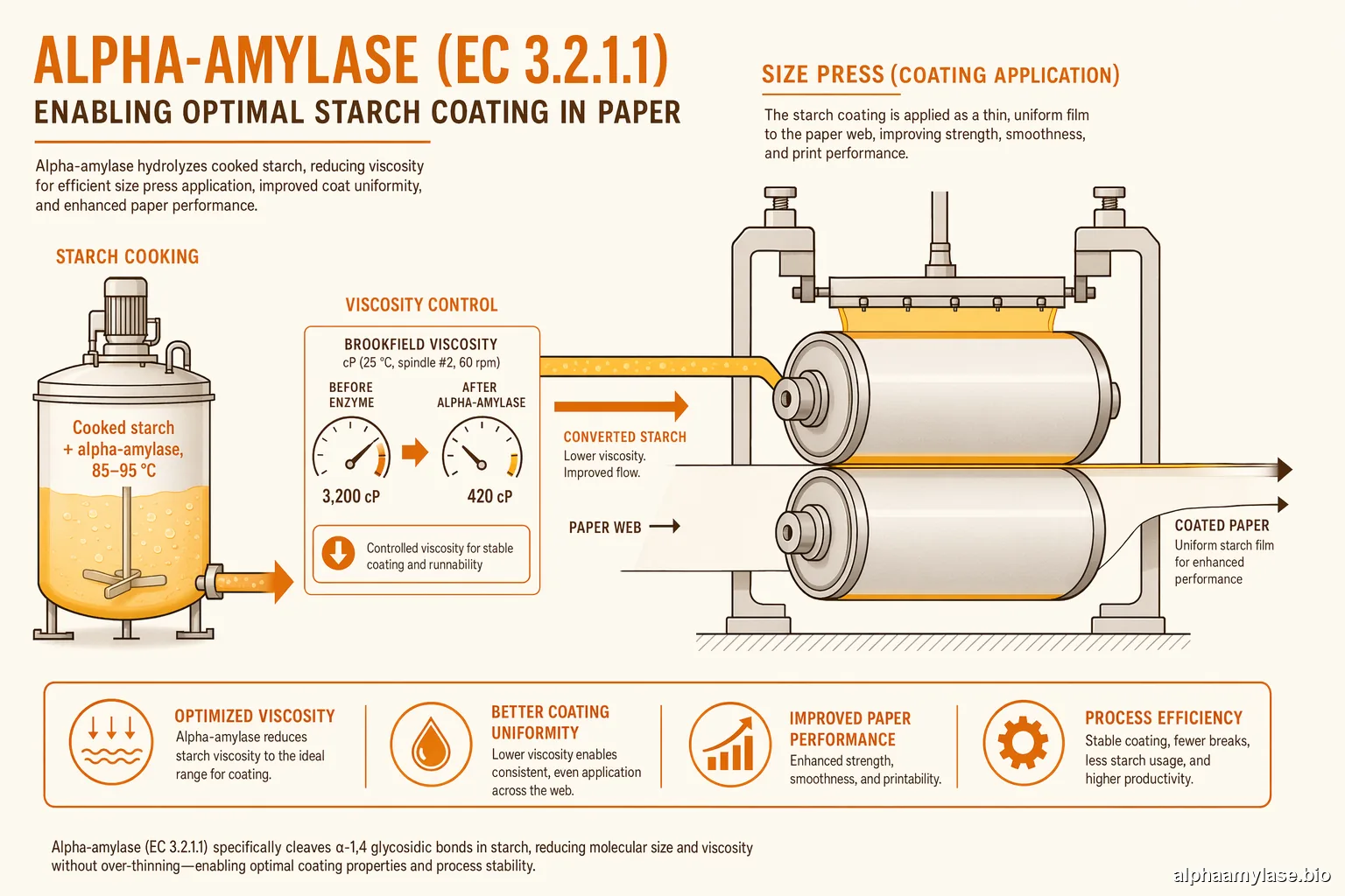 Alpha Amylase for Paper and Board Starch Coating Viscosity Control