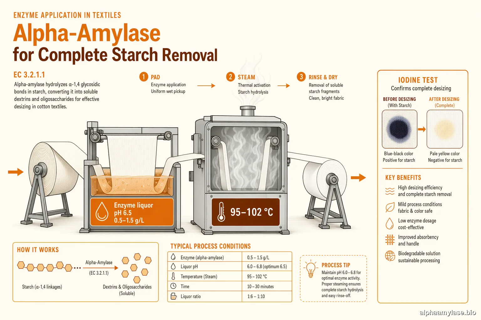 Alpha Amylase for Textile Desizing — Starch Removal Before Dyeing