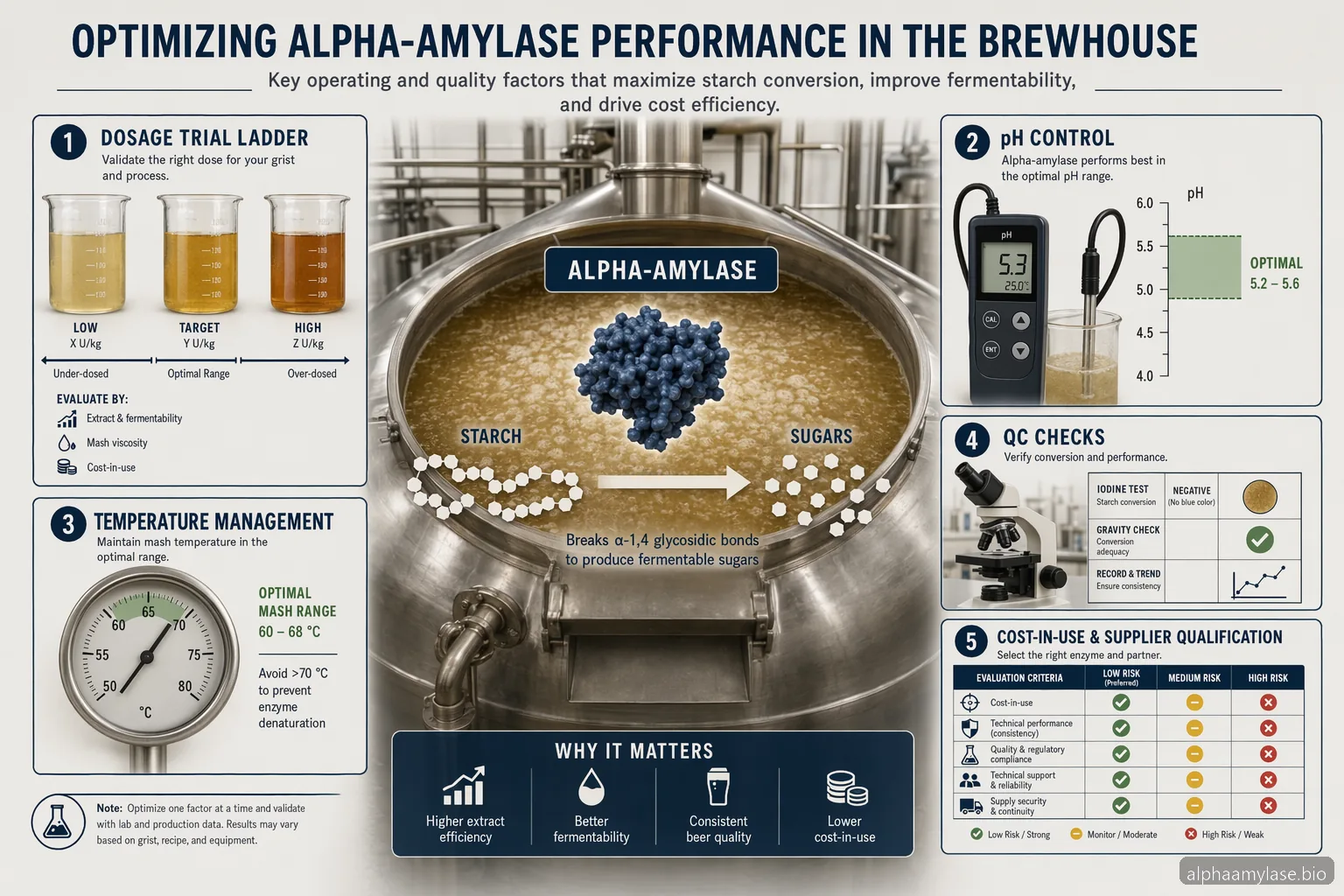 Alpha Amylase Enzyme Brewing: Dosage, pH, and Temperature Troubleshooting — at-a-glance summary