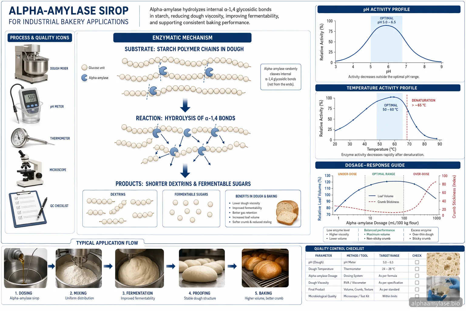 Alpha Amylase Sirop for Baking: Dosage, pH, Temperature, and Troubleshooting — process diagram